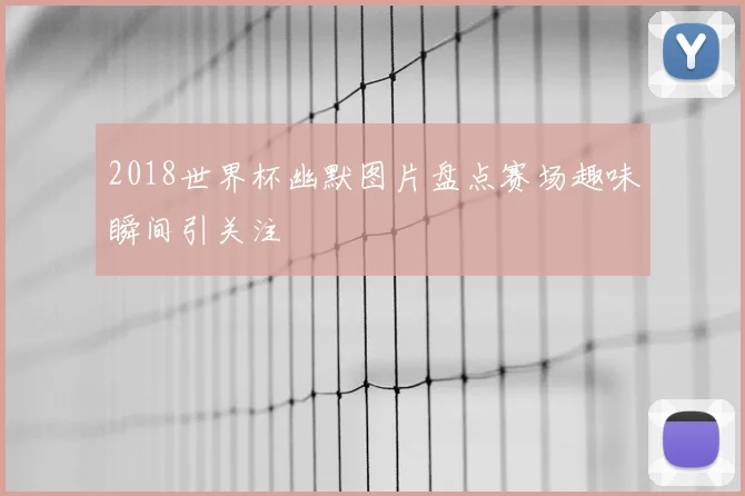 2018世界杯幽默图片盘点赛场趣味瞬间引关注
