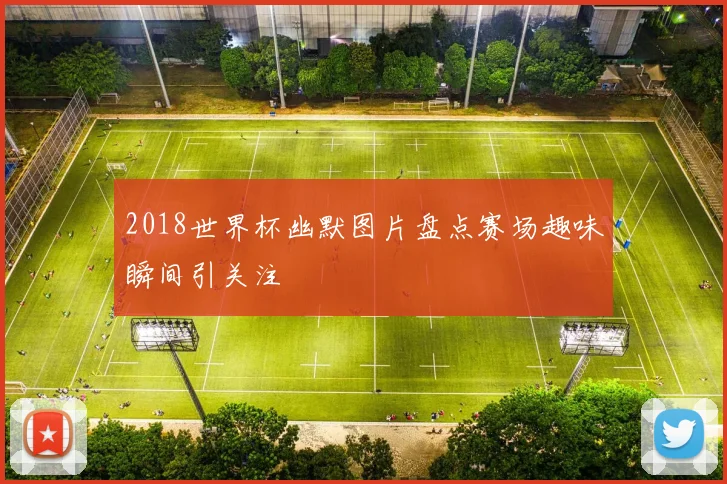 2018世界杯幽默图片盘点赛场趣味瞬间引关注