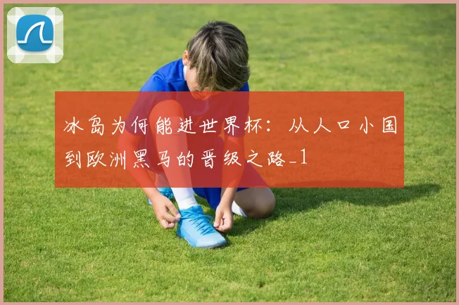 冰岛为何能进世界杯：从人口小国到欧洲黑马的晋级之路_1