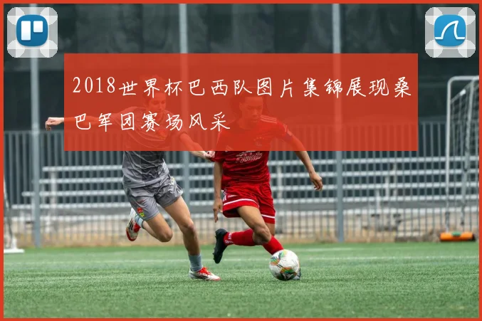 2018世界杯巴西队图片集锦展现桑巴军团赛场风采