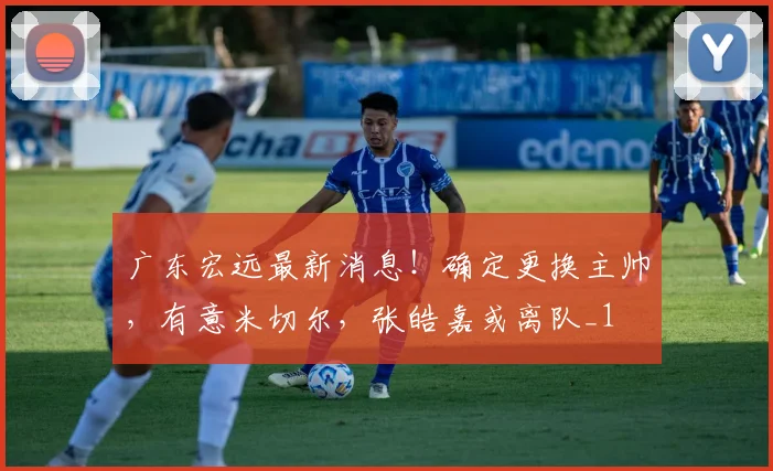 广东宏远最新消息！确定更换主帅，有意米切尔，张皓嘉或离队_1